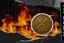 معدل حرق XRP يرتفع بنسبة 313٪ رغم استقرار السعر