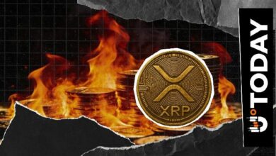 معدل حرق XRP يرتفع بنسبة 313٪ رغم استقرار السعر