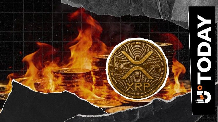 معدل حرق XRP يرتفع بنسبة 313٪ رغم استقرار السعر
