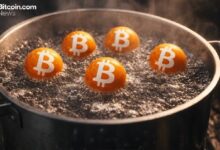 نشاط المشتقات يصل إلى ذروته: متداولو خيارات البيتكوين يفضلون خيارات الشراء على البيع