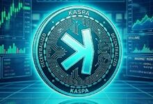 كاسبا تكتسب زخمًا مع تحسن السوق ونمو النظام البيئي