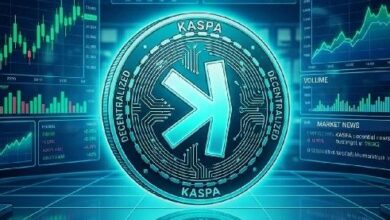 كاسبا تكتسب زخمًا مع تحسن السوق ونمو النظام البيئي