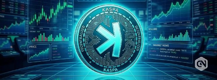 كاسبا تكتسب زخمًا مع تحسن السوق ونمو النظام البيئي