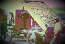 كبار المستثمرين في البيتكوين يتخلصون من أكثر من 100 مليون دولار بعد إحباط الفيدرالي آمال خفض الفائدة