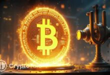 نظرية تخفيض مكافأة البيتكوين تواجه ضغوط سيولة السوق المتوقعة في 2026