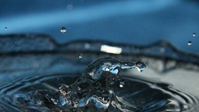 استطلاع: 60% من خبراء التداول خارج البورصة يتوقعون بقاء عدد أقل من مقدمي السيولة حتى عام 2026