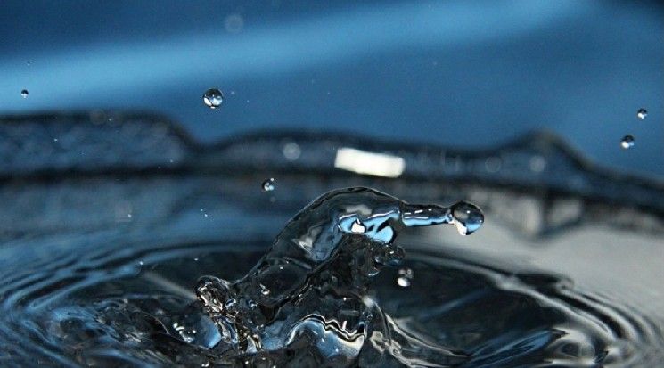 استطلاع: 60% من خبراء التداول خارج البورصة يتوقعون بقاء عدد أقل من مقدمي السيولة حتى عام 2026