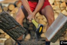 البروتوكول: مجتمع إيثيريوم يناقش وثيقة المهام الجديدة للمؤسسة