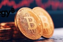 سعر البيتكوين يحافظ على 70 ألف دولار مع تراجع نشاط الحيتان إلى أدنى مستوياته في سنوات