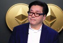 رئيس "بيتماين" توم لي: الأيام الصعبة انتهت لسوق العملات الرقمية! التفاصيل الكاملة