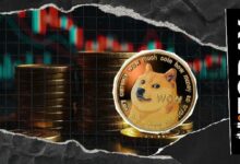 عملة دوجكوين (DOGE) تسجل سعرًا شاذًا عند 0 دولار مع اختفاء البائعين على المكشوف