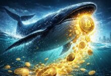 حيتان البيتكوين القديمة تستيقظ من سباتها وتفيض السوق بالعملة بعد سنوات من الصمت