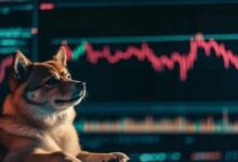 قرش العملات الرقمية يتخلى عن حيازة SHIB بعد عامين ويحقق خسارة 83%