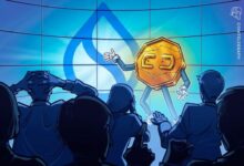 بروتوكول التمويل اللامركزي Hashi يطلق عملياته على شبكة Sui بدعم من BitGo و FalconX