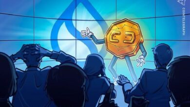 بروتوكول التمويل اللامركزي Hashi يطلق عملياته على شبكة Sui بدعم من BitGo و FalconX