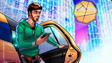 شركة رايد في سنغافورة تتبنى استراتيجية خزانة للعملات المشفرة