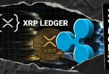 ريبل تعزز توسعها المؤسسي مع استمرار تقدم شبكة XRPL