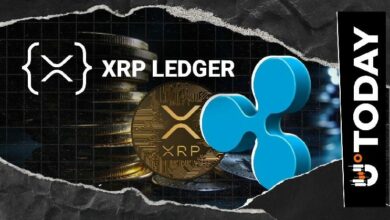 ريبل تعزز توسعها المؤسسي مع استمرار تقدم شبكة XRPL