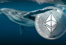 الحوت الذي باع كل إيثيريوم خاصته قبل عام يعود للشراء! تفاصيل عودة كبار المستثمرين إلى ETH