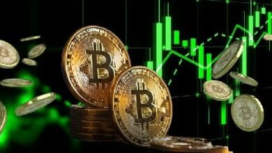 سعر البيتكوين يتأثر بالإمدادات الجديدة بينما يحتفظ المستثمرون طويلي الأجل بمراكزهم