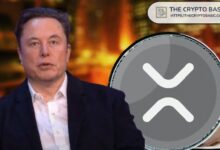 محلل يكشف السبب وراء صمت إيلون ماسك المستمر حول XRP