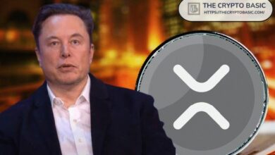 محلل يكشف السبب وراء صمت إيلون ماسك المستمر حول XRP