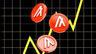 ألجوراند تُقلّص 25% من موظفيها بعد يوم من تأكيد هيئة الأوراق المالية الأمريكية أن ALGO ليس ورقة مالية
