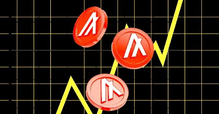 ألجوراند تُقلّص 25% من موظفيها بعد يوم من تأكيد هيئة الأوراق المالية الأمريكية أن ALGO ليس ورقة مالية