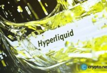 آلة الرسوم في Hyperliquid تتداول كسهم نمو منخفض التكلفة
