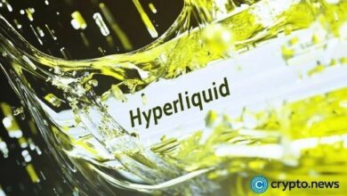 آلة الرسوم في Hyperliquid تتداول كسهم نمو منخفض التكلفة
