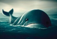 هل يتم الكشف عن هوية حوت العملات البديلة الغامض الذي أخطأ بخسارة 50 مليون دولار؟ هناك صلة مفاجئة بالبيتكوين!