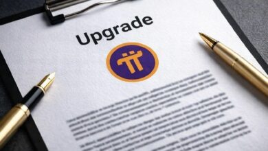 شبكة باي تختبر الحوسبة الذكية على العقد قبل إطلاق بورصة لا مركزية في يوم باي