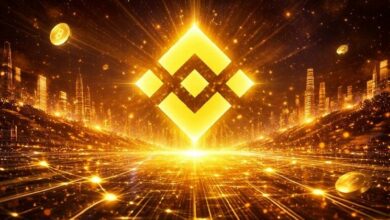 أداة استعادة الرموز في سلسلة BNB Beacon تدخل مرحلة التصفية: دليل شامل لحاملي BEP2