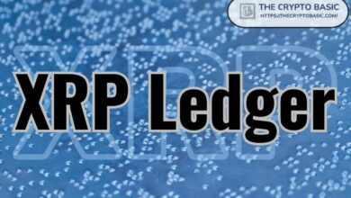 لا تستهين بقيمة شبكة إكس آر بي ليدجر، ينصح خبير الثروات