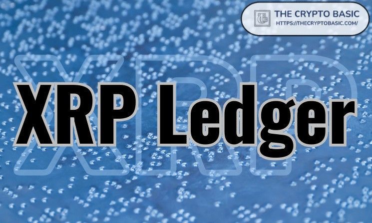 لا تستهين بقيمة شبكة إكس آر بي ليدجر، ينصح خبير الثروات