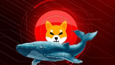 حوت شيبا إينو يستسلم بعد عامين ويتخلص من 14.5 مليار SHIB بخسارة 83%