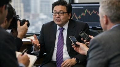 توم لي يتوقع ارتفاع صندوق فانجارد المؤشر هذا بنسبة 129%