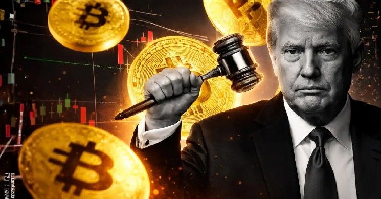 إليزابيث وارن تحقق في صفقة بيتماين المرتبطة بترامب بسبب مخاطر الأمن القومي