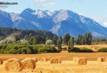 ريدوت باي تحصل على تراخيص رقابية رئيسية في الأرجنتين وكندا والولايات المتحدة