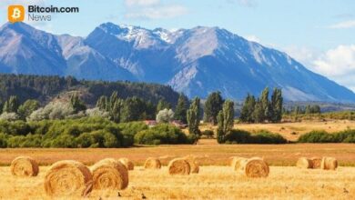 ريدوت باي تحصل على تراخيص رقابية رئيسية في الأرجنتين وكندا والولايات المتحدة