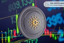 كاردانو تدخل المرحلة النهائية من التحضير لترقية شبكتية كبرى