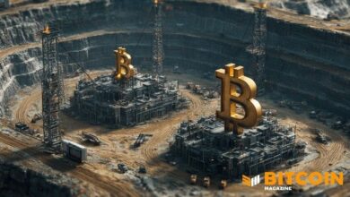 "سولو ساتوشي" تطلق "بيتاكس توربو تاتش": شاشة لمس مفتوحة المصدر لتعدين البيتكوين