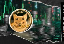+157 مليار خلال 24 ساعة: موجة التدفقات على شيبا إينو (SHIB) تُنهي توقعات الصعود