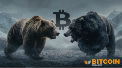 سعر البيتكوين يراوح قرب 75 ألف دولار وسط تساؤلات السوق حول سردية 'الانفصال'