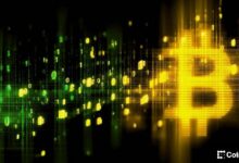 شركات خزائن البيتكوين تواجه أزمة: التحول الاستراتيجي شرط للبقاء