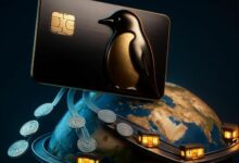 هل تمثل بطاقة بينجو الخطوة التالية نحو فائدة واقعية لمجموعة بطاريق بودجي؟