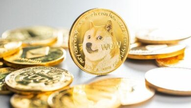 دوجكوين يحطم مستوى فيبوناتشي بينما يحذر محلل من منطقة شراء تاريخية