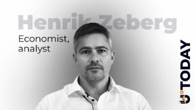 خبير الاقتصاد الكلي هنريك زيبرج: انطلاق الإيثيريوم يُعلن بدء موسم الألتكوينات