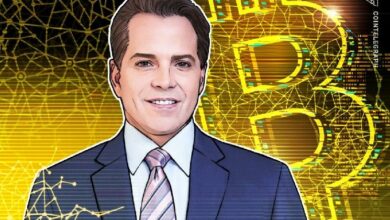 سكاراموتشي يؤكد استمرار دورة البيتكوين الربع سنوية ويتوقع ارتفاعًا قويًا في الربع الأخير