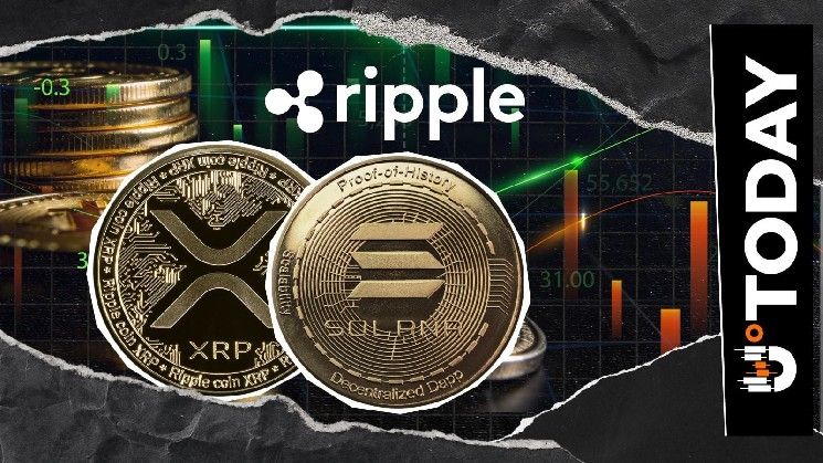 مطورو ريبل يردون على منشور سولانا بشأن XRP: هل هناك ما يستحق المراقبة؟